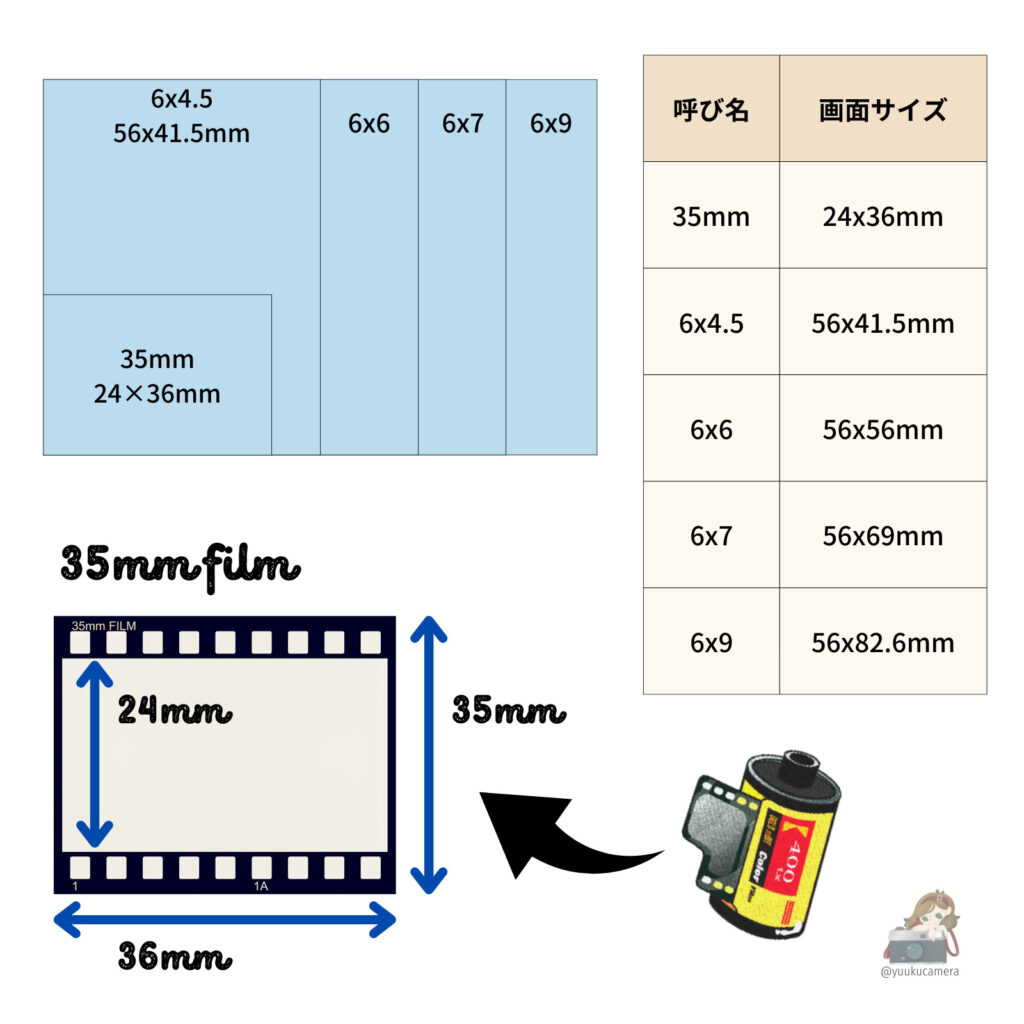 film-sizes